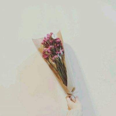 虫虫助手重装上阵手游下载